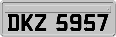 DKZ5957