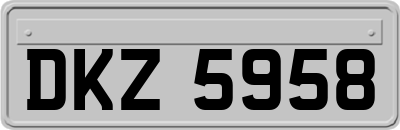 DKZ5958