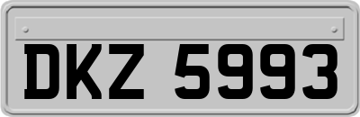 DKZ5993