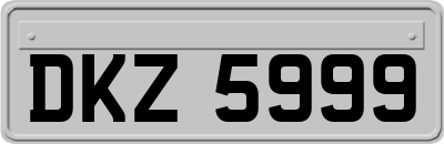 DKZ5999