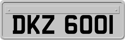 DKZ6001