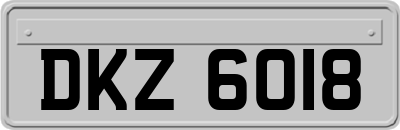 DKZ6018