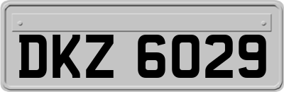 DKZ6029