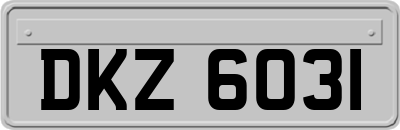 DKZ6031