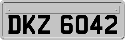DKZ6042