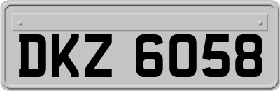 DKZ6058