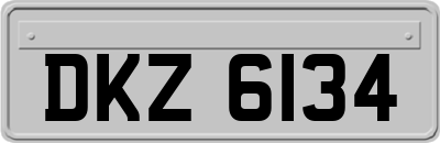 DKZ6134