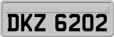 DKZ6202