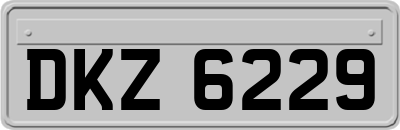 DKZ6229