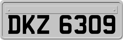 DKZ6309