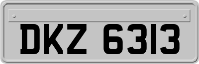 DKZ6313