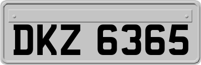 DKZ6365
