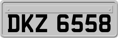 DKZ6558