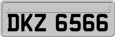 DKZ6566