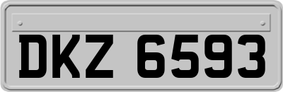 DKZ6593