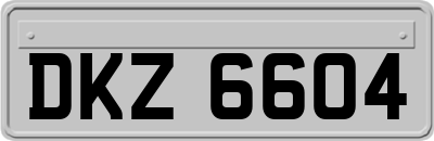 DKZ6604