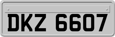 DKZ6607