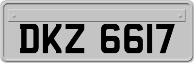 DKZ6617
