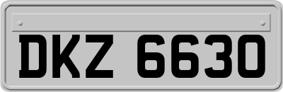 DKZ6630