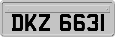 DKZ6631