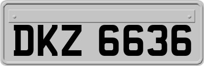 DKZ6636