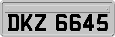 DKZ6645
