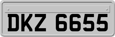 DKZ6655