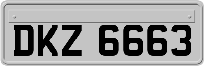 DKZ6663