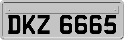 DKZ6665