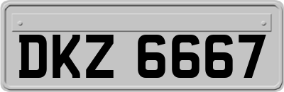 DKZ6667