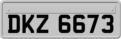 DKZ6673