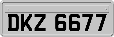 DKZ6677