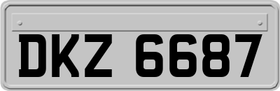 DKZ6687