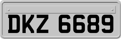DKZ6689