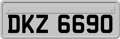 DKZ6690