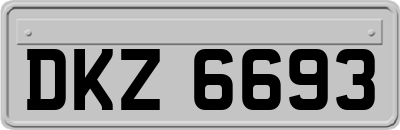 DKZ6693