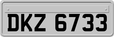 DKZ6733