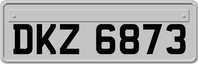 DKZ6873