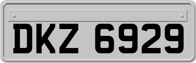 DKZ6929