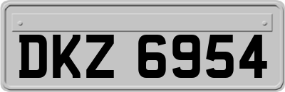 DKZ6954