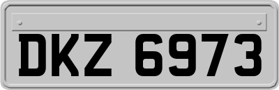 DKZ6973
