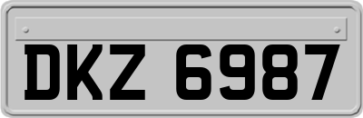 DKZ6987