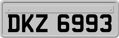 DKZ6993