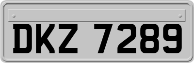 DKZ7289