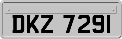 DKZ7291