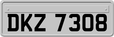 DKZ7308