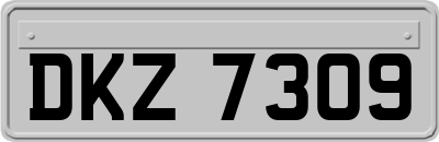 DKZ7309