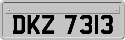 DKZ7313