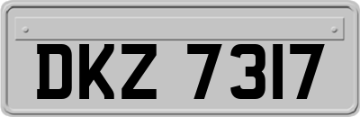 DKZ7317