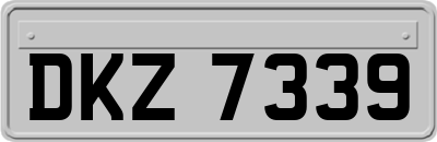 DKZ7339